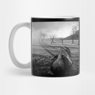 black and white duck, and country landscape Mug